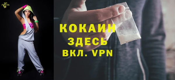 мдпв Гусев