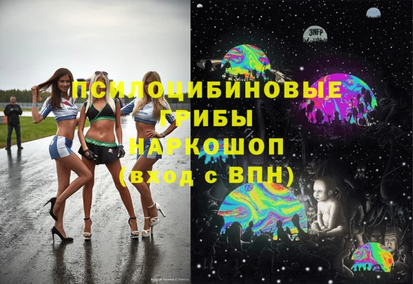 ГАЛЛЮЦИНОГЕННЫЕ ГРИБЫ Алексеевка