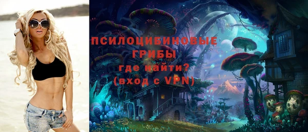 ГАЛЛЮЦИНОГЕННЫЕ ГРИБЫ Алексеевка
