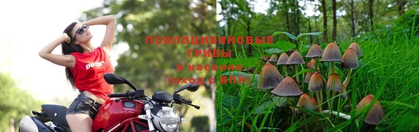 твердый Алзамай
