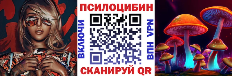 дарнет шоп  Любим  Галлюциногенные грибы прущие грибы 